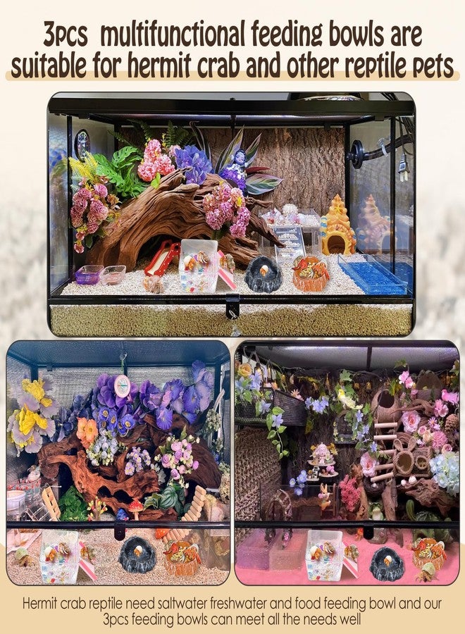 NestBasics 6 Pack Hermit Crab Accessories Hermit Crab Bathing Pool with Ramp Reptile Hermit Crab Water Food Bowls Dish Starter Kits for Hermit Crab Leopard Gecko Frog Spider Lizard Turtle Bearded Dragon etc - Image 5